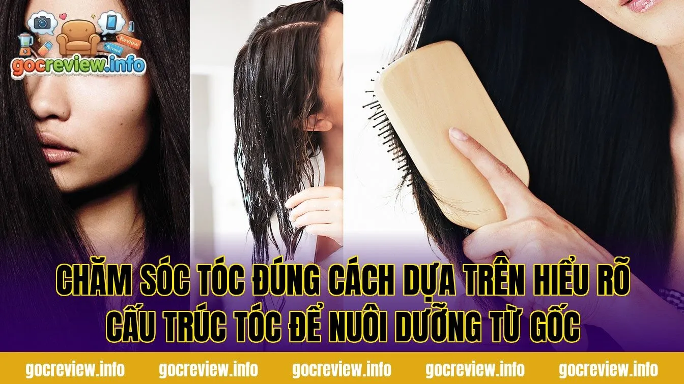 Chăm sóc tóc đúng cách dựa trên hiểu rõ cấu trúc tóc để nuôi dưỡng từ gốc