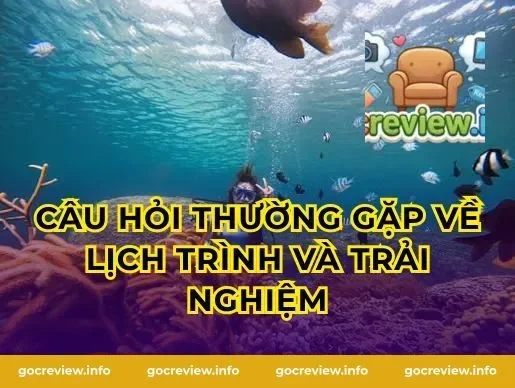 Câu hỏi thường gặp về lịch trình và trải nghiệm